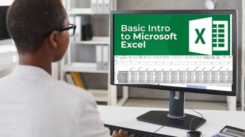 The Importance Of Basic Excel Training for Beginners