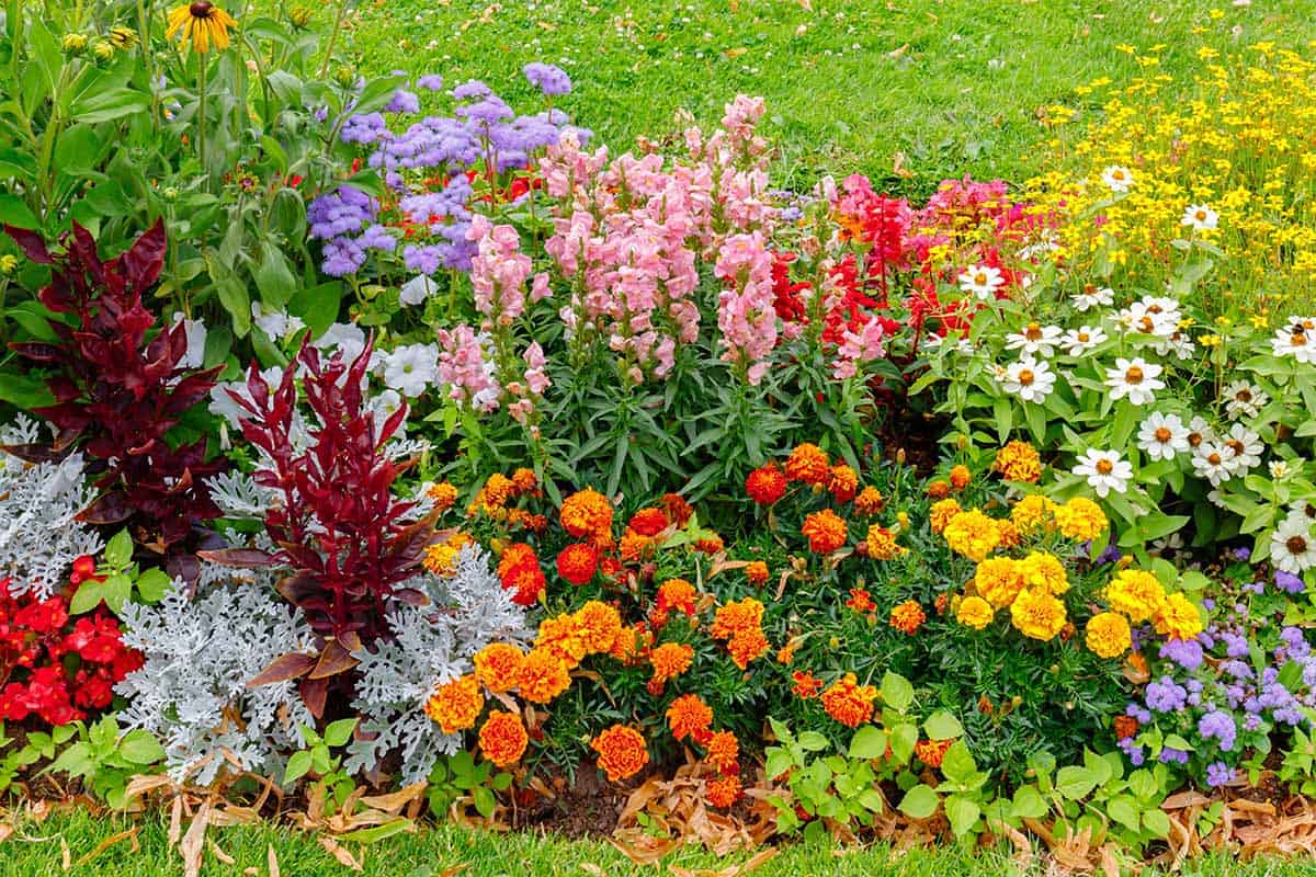 Detailed Analysis On The Flower Grass Blend