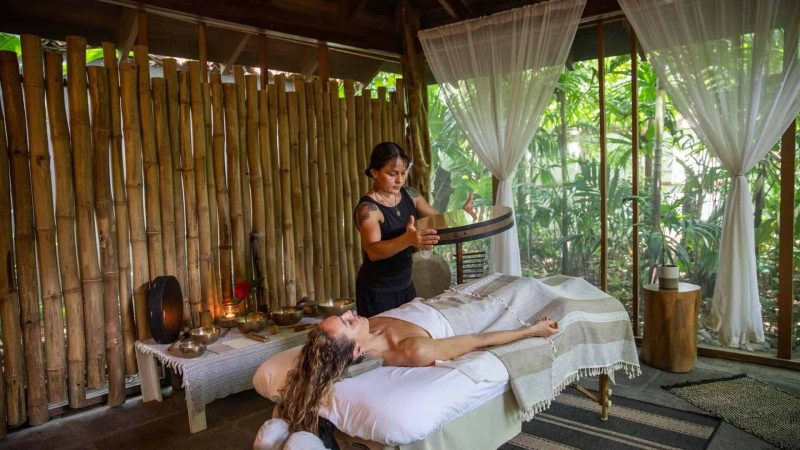 Healing Wellness Journey – An Introduction
